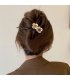 HA300 - Korean Temperament Hair Clip